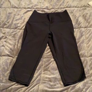 In Movement Crop, Everlux 19